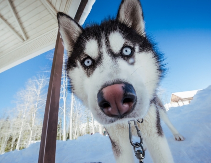 Развлечения на территории курорта «Газпром» - ГК «Поляна 1389 Отель и СПА»